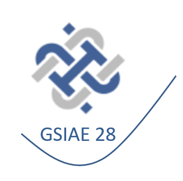 GSIAE 28 
